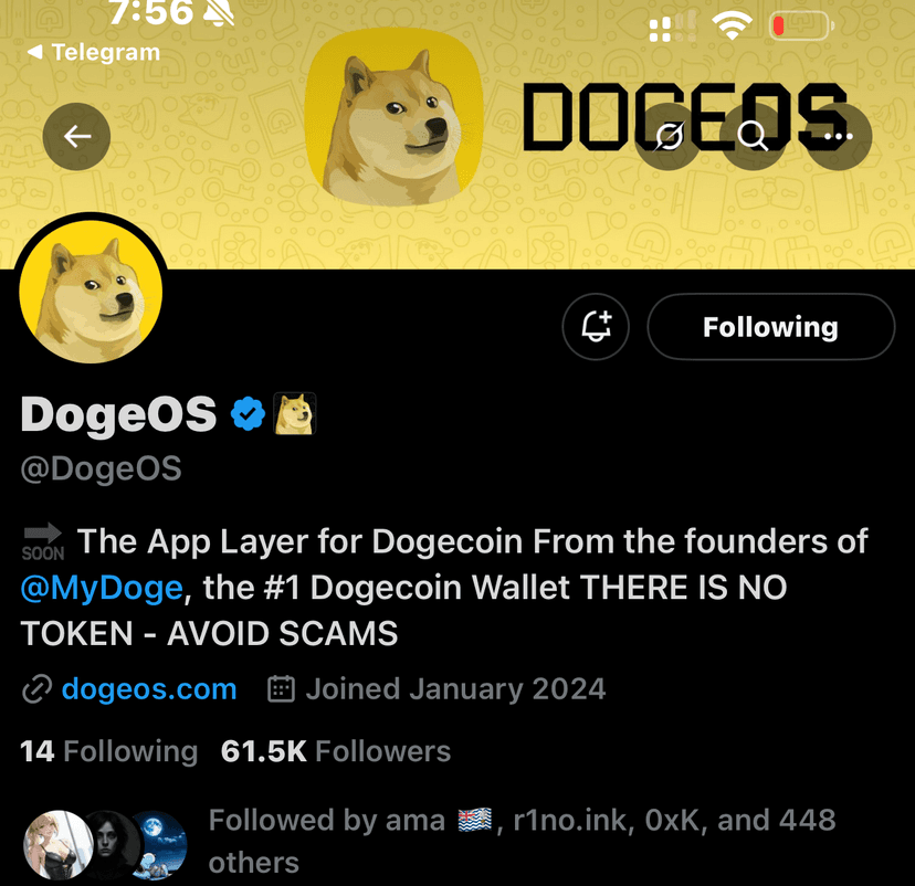 DogeOS Twitter follower count before using TweetBoost
